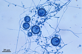 Sample Post 9